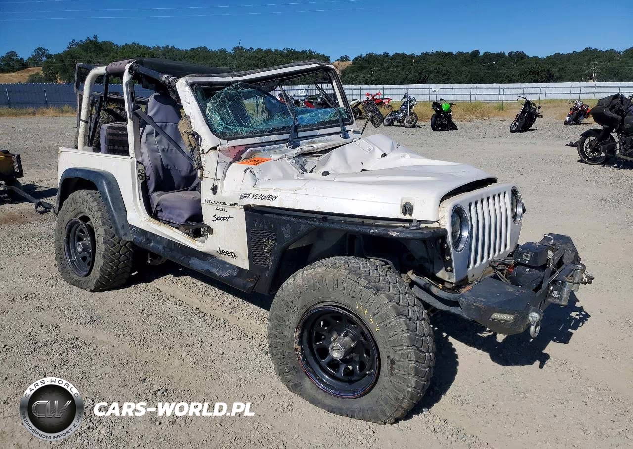 2000 Jeep Wrangler - Tj Sport VIN:1J4FA49SXYP716873 - 4