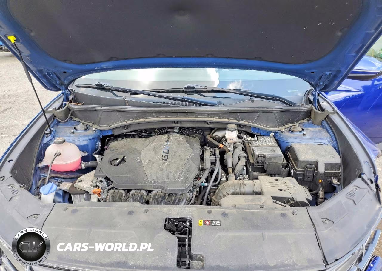 2024 Hyundai Tucson Sel VIN:5NMJF3DE4RH356054 - 11