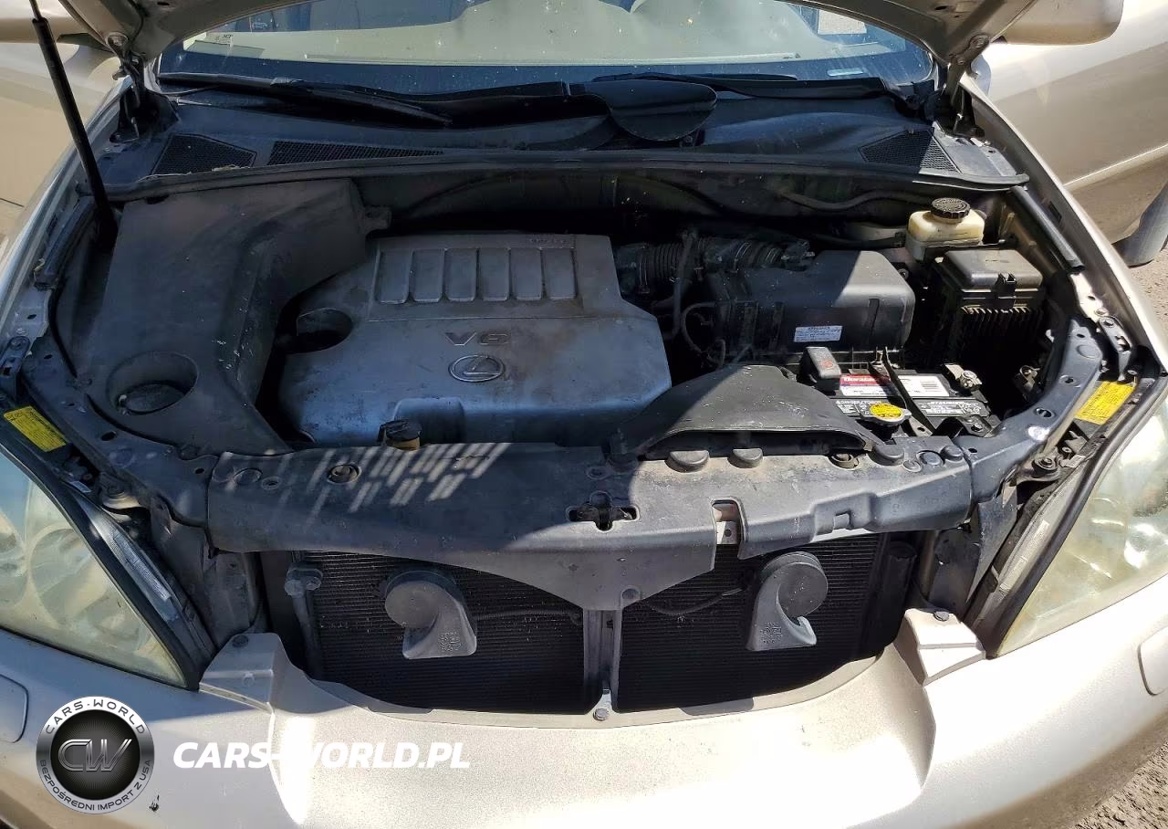 2007 Lexus Rx 350 VIN:2T2GK31U77C009687 - 11