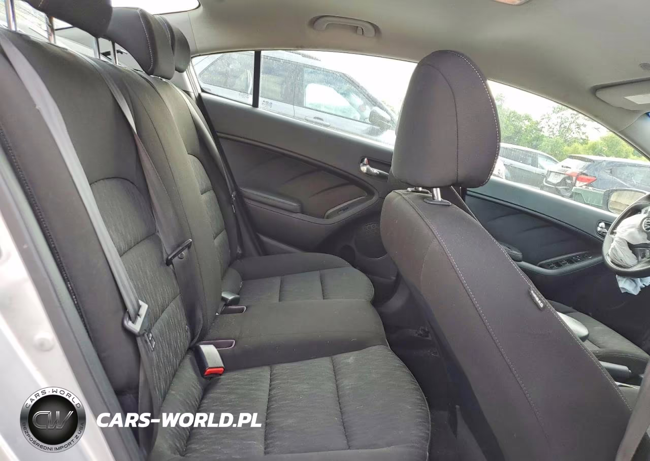 2014 Kia Forte Lx VIN:KNAFK4A64E5149789 - 10