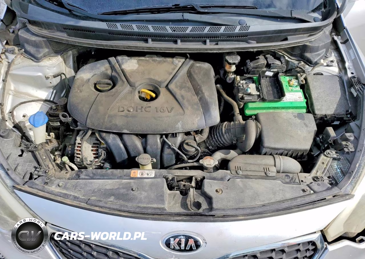 2014 Kia Forte Lx VIN:KNAFK4A64E5149789 - 11