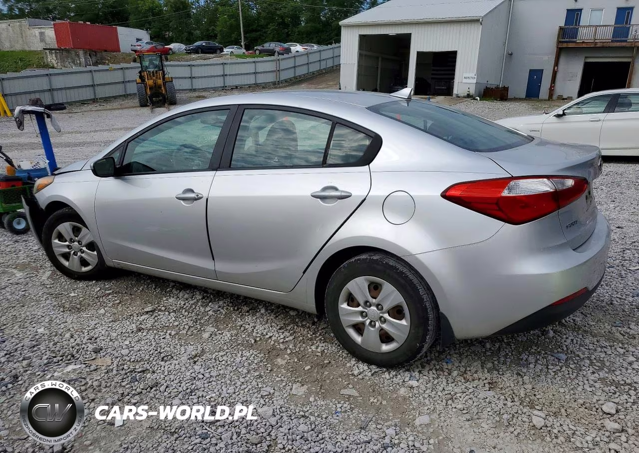 2014 Kia Forte Lx VIN:KNAFK4A64E5149789 - 2