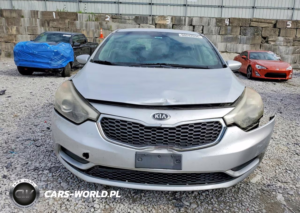 2014 Kia Forte Lx VIN:KNAFK4A64E5149789 - 5