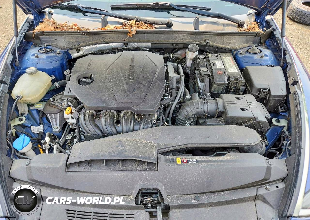 2020 Hyundai Sonata Se VIN:5NPEG4JA6LH043975 - 11