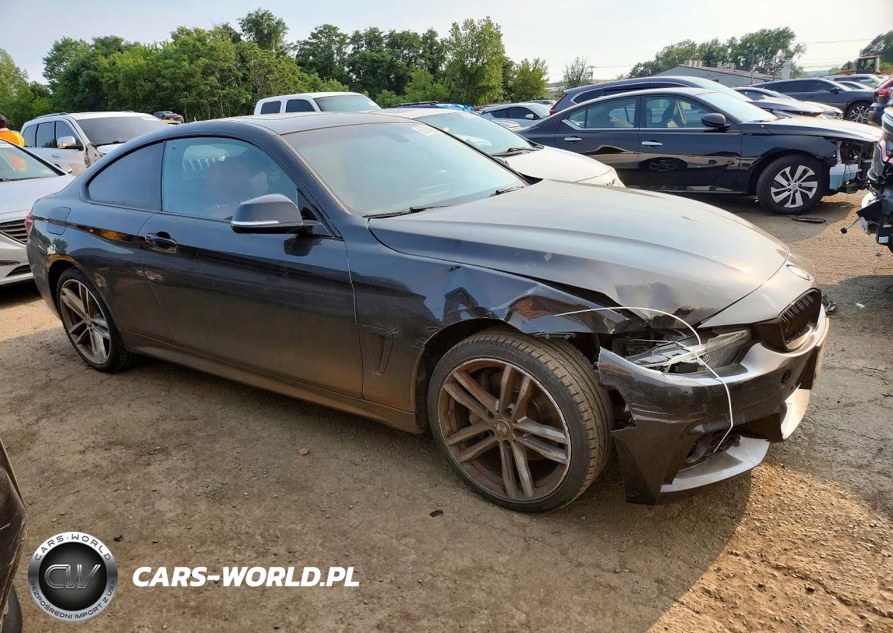 2019 BMW 430Xi VIN:WBA4W5C52KAE50931 - 4