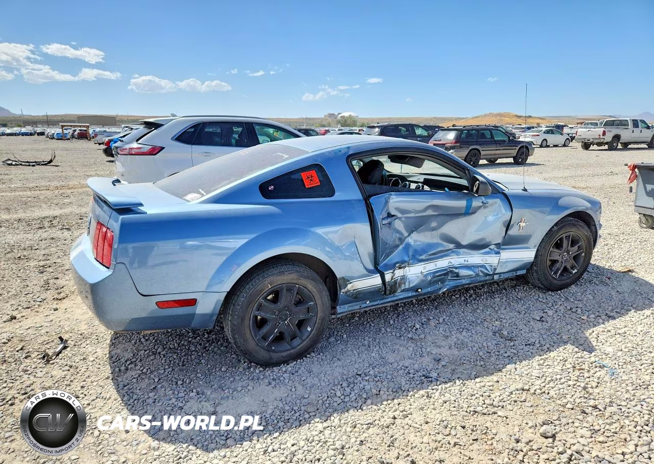 2006 Ford Mustang VIN:1ZVFT80N765251375 - 3