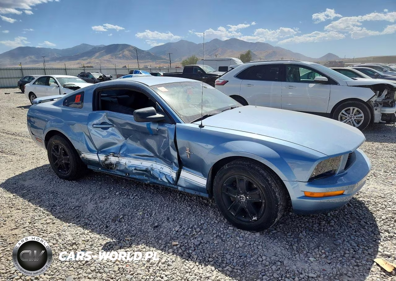 2006 Ford Mustang VIN:1ZVFT80N765251375 - 4