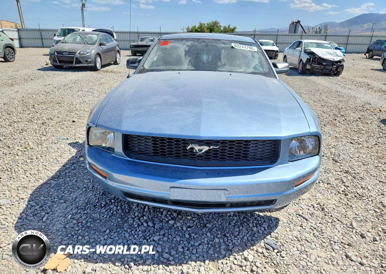 2006 Ford Mustang VIN:1ZVFT80N765251375 - 5