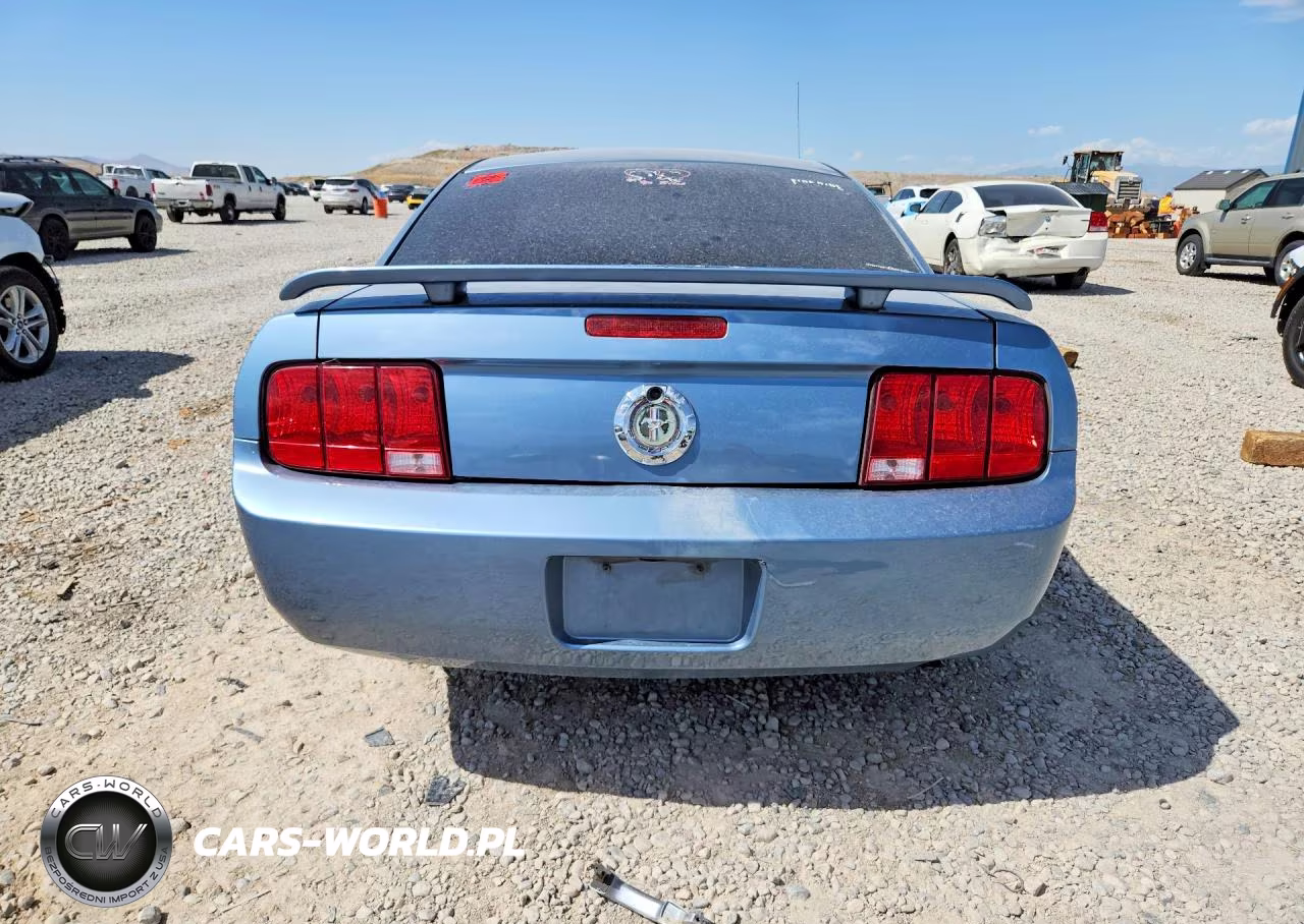 2006 Ford Mustang VIN:1ZVFT80N765251375 - 6