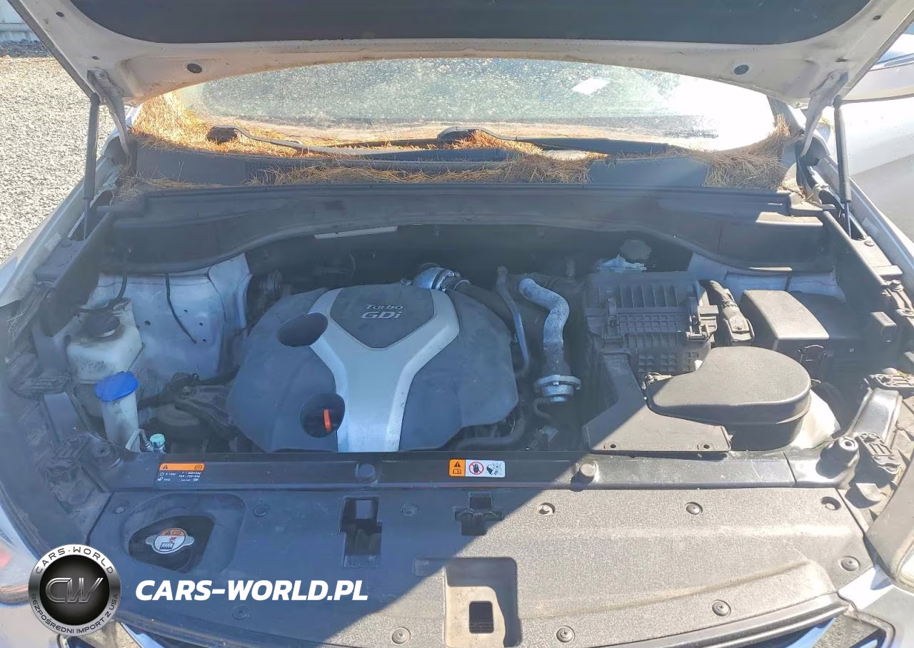 2013 Hyundai Santa Fe Sport 2.0T VIN:5XYZWDLA7DG001700 - 12