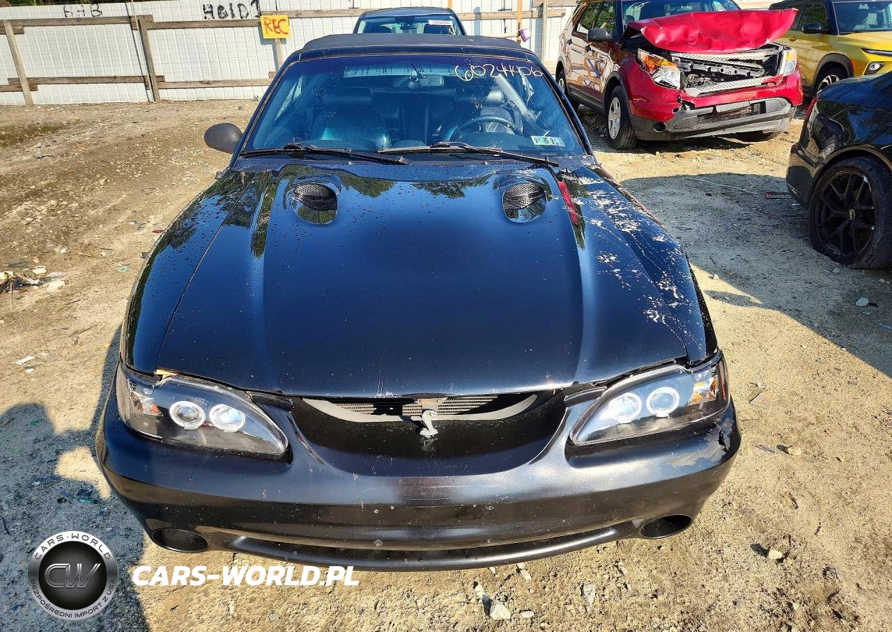 1997 Ford Mustang Svt Cobra VIN:1FALP46VXVF166362 - 5