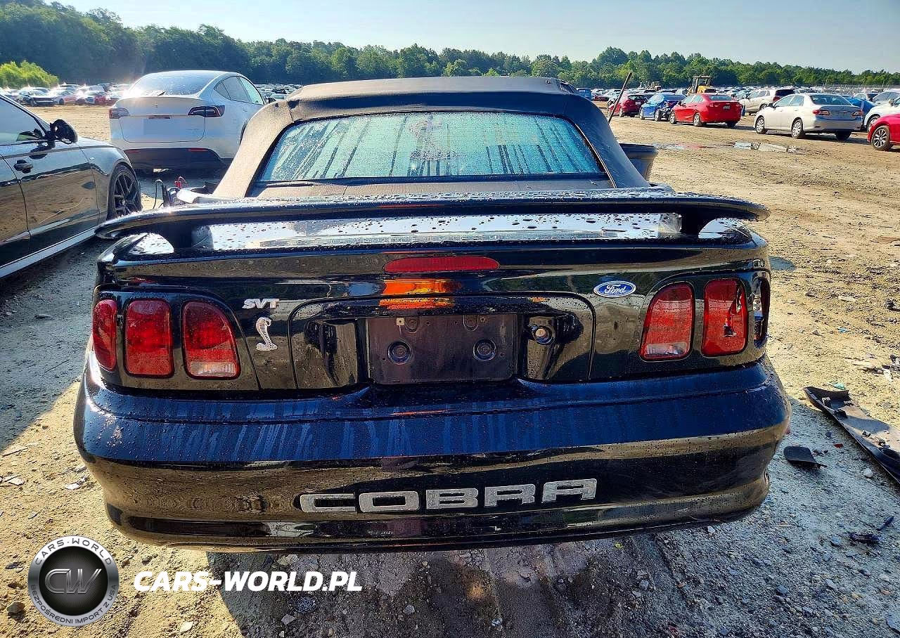 1997 Ford Mustang Svt Cobra VIN:1FALP46VXVF166362 - 6