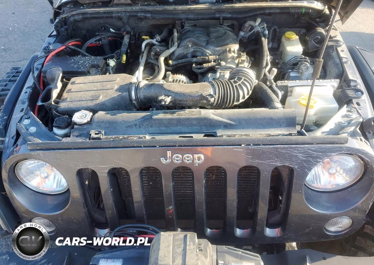 2016 Jeep Wrangler Unlimited Rubicon VIN:1C4BJWFG5GL164852 - 11