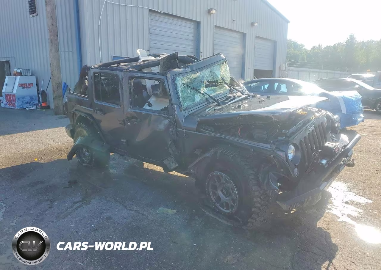 2016 Jeep Wrangler Unlimited Rubicon VIN:1C4BJWFG5GL164852 - 4