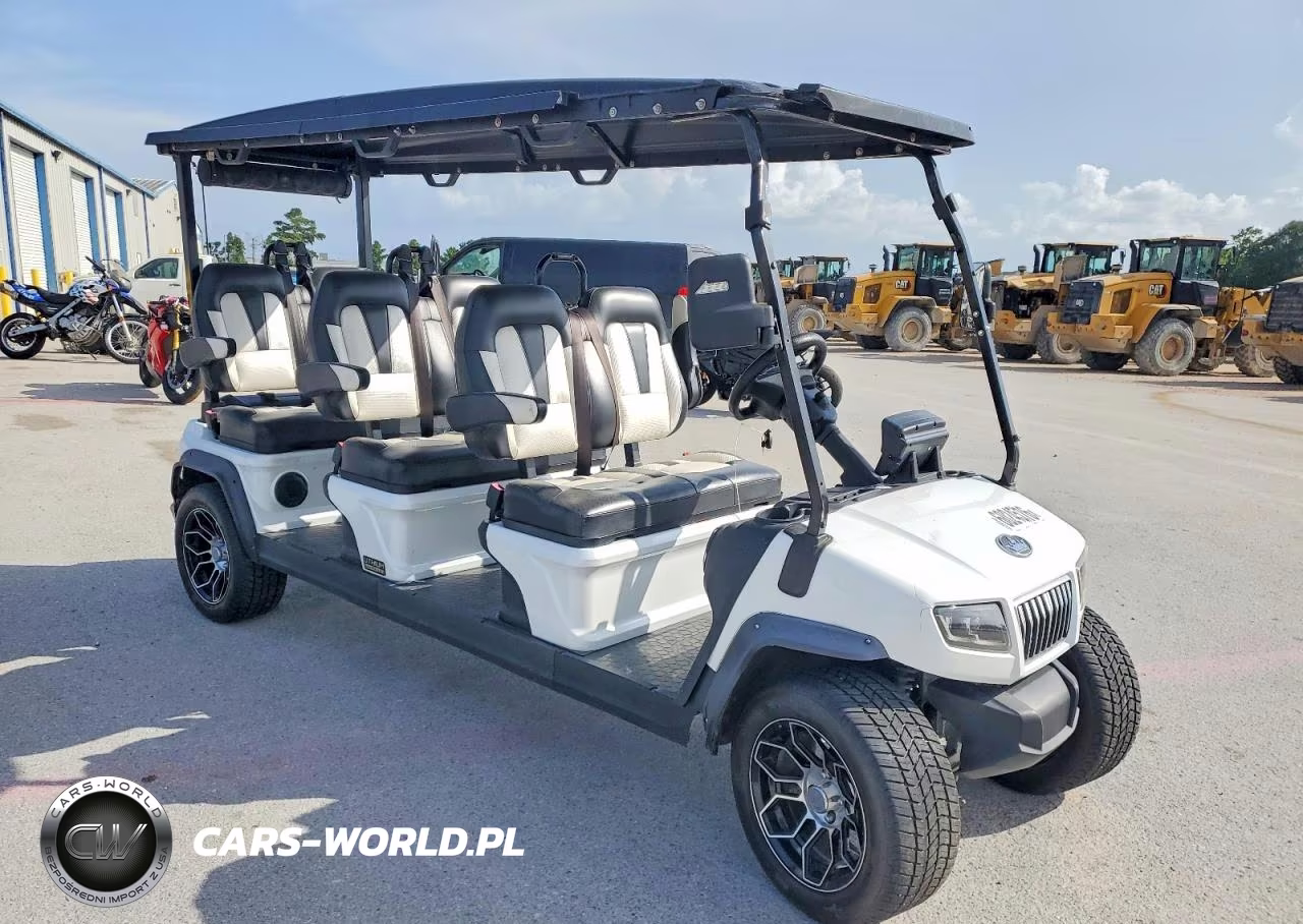 2024 Golf Other – zdjęcie 1 z 10