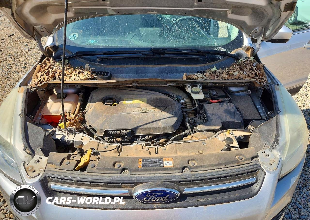 2014 Ford Escape Se VIN:1FMCU0GX8EUC29817 - 12