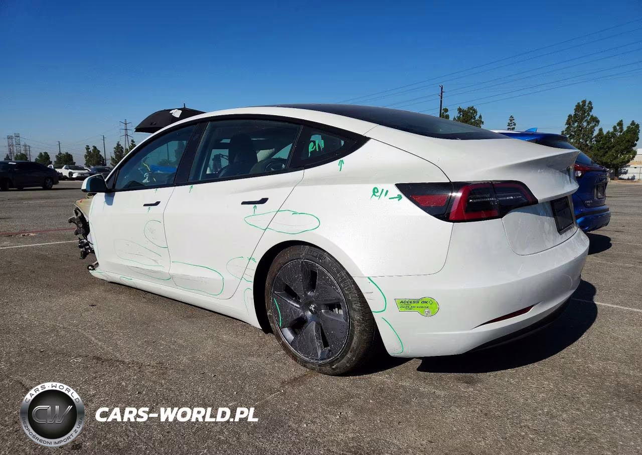 2023 Tesla Model 3 VIN:5YJ3E1EA3PF555543 - 2