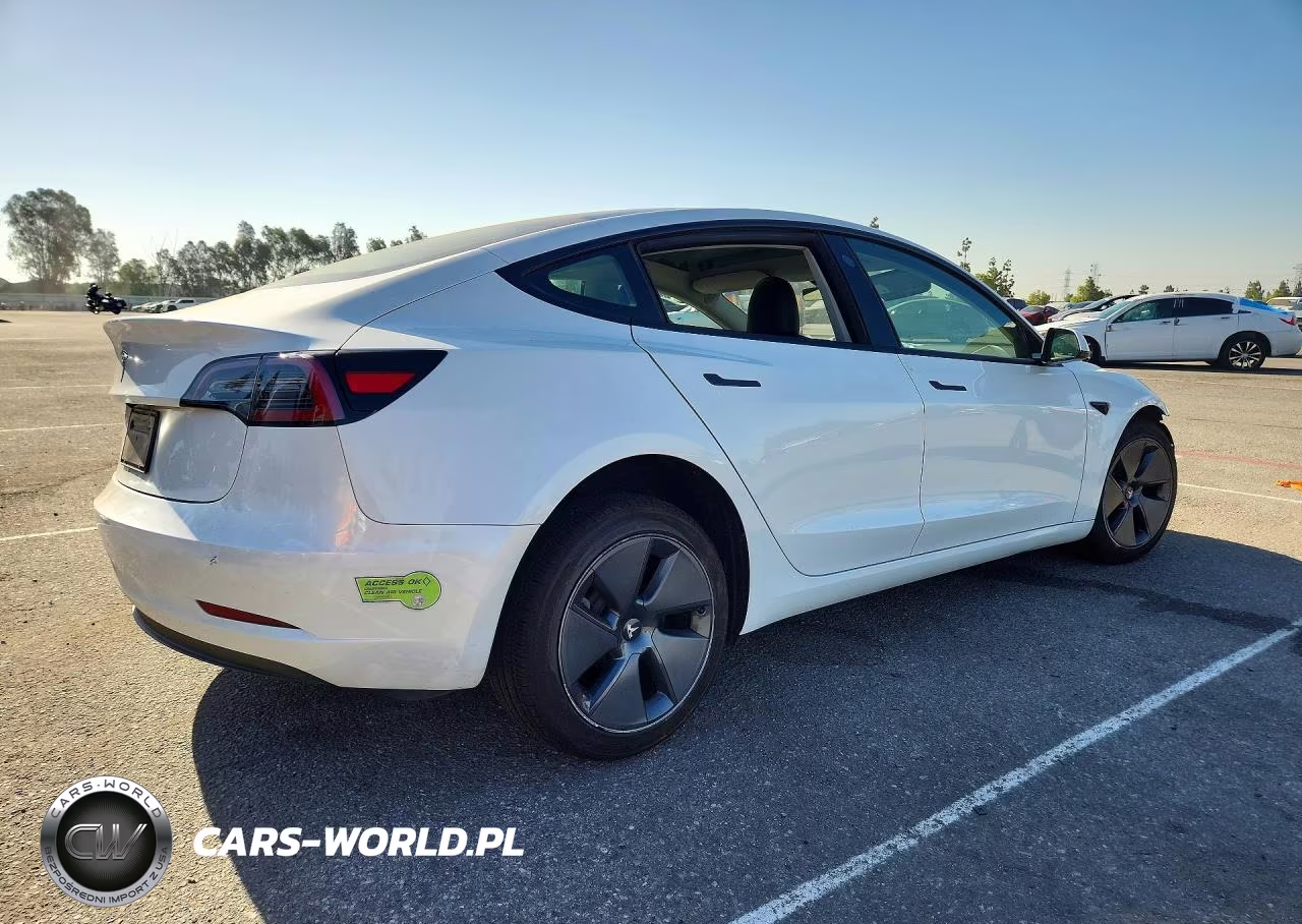 2023 Tesla Model 3 VIN:5YJ3E1EA3PF555543 - 3