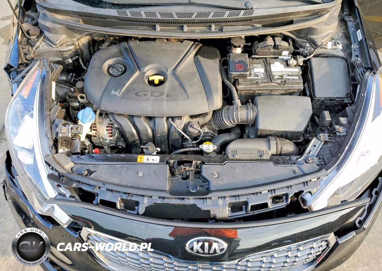 2015 Kia Forte Ex VIN:KNAFX4A81F5283356 - 11