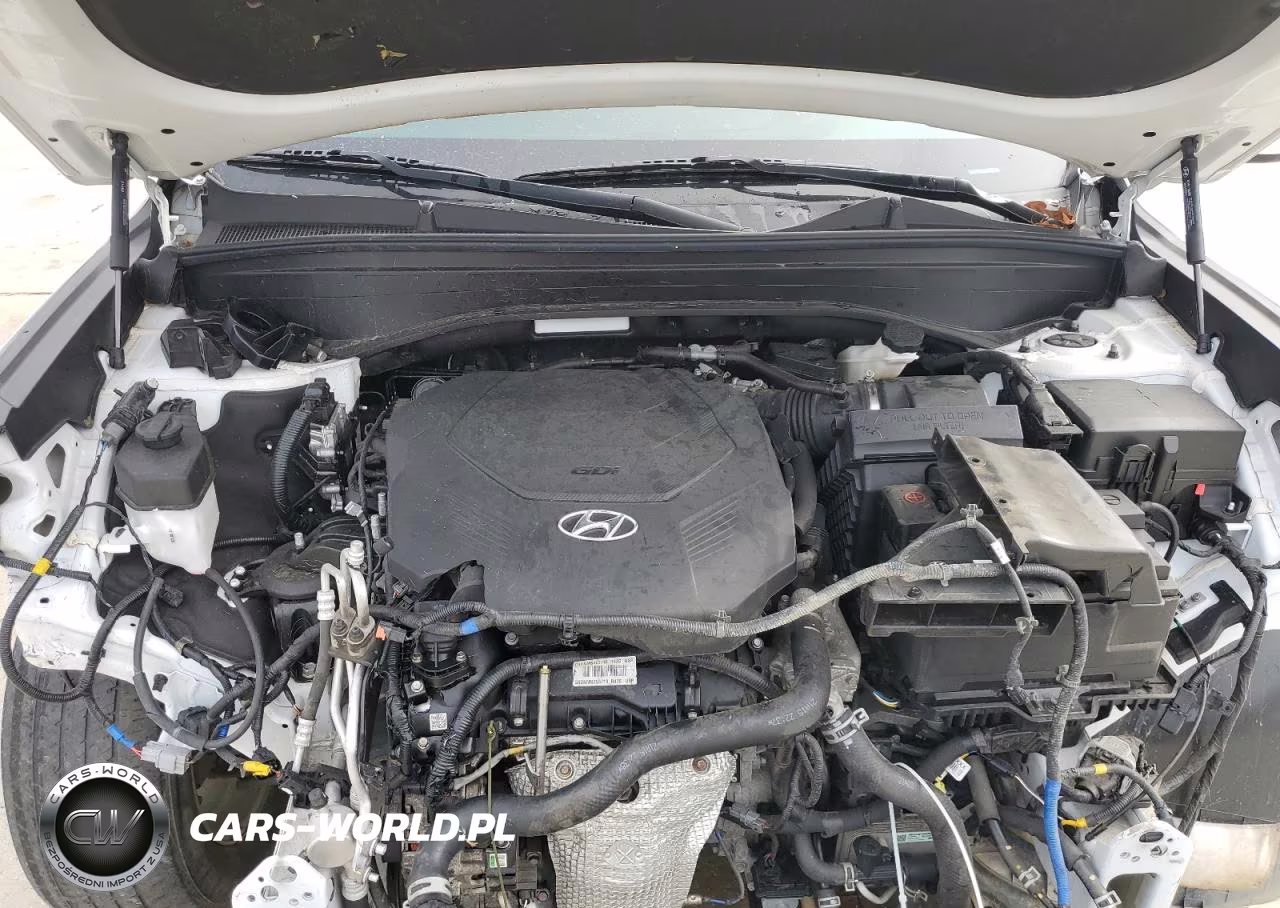2021 Hyundai Palisade Se VIN:KM8R1DHEXMU282749 - 12