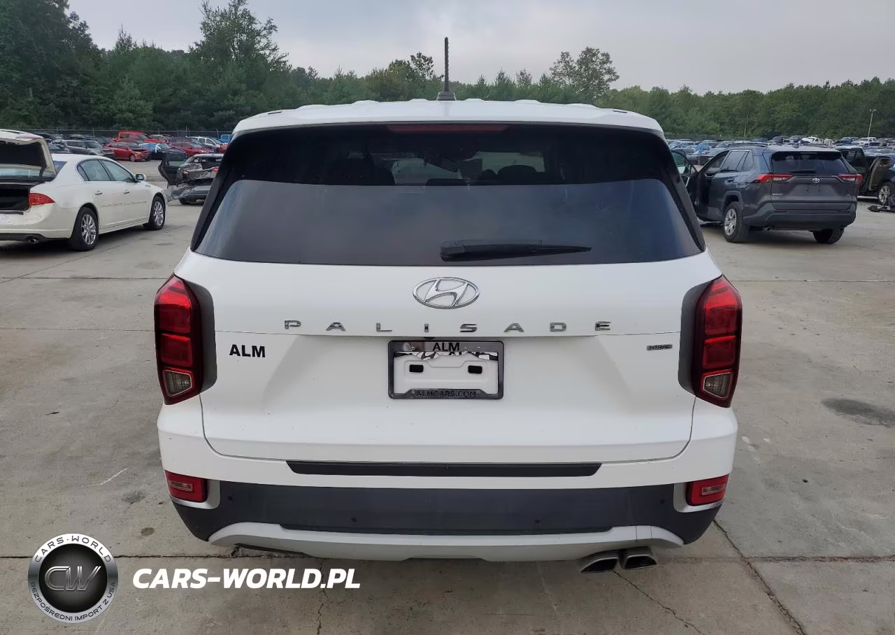 2021 Hyundai Palisade Se VIN:KM8R1DHEXMU282749 - 6