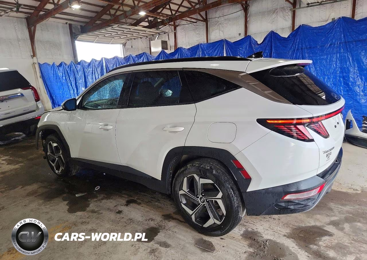 2022 Hyundai Tucson Limited VIN:5NMJECAE1NH110662 - 2