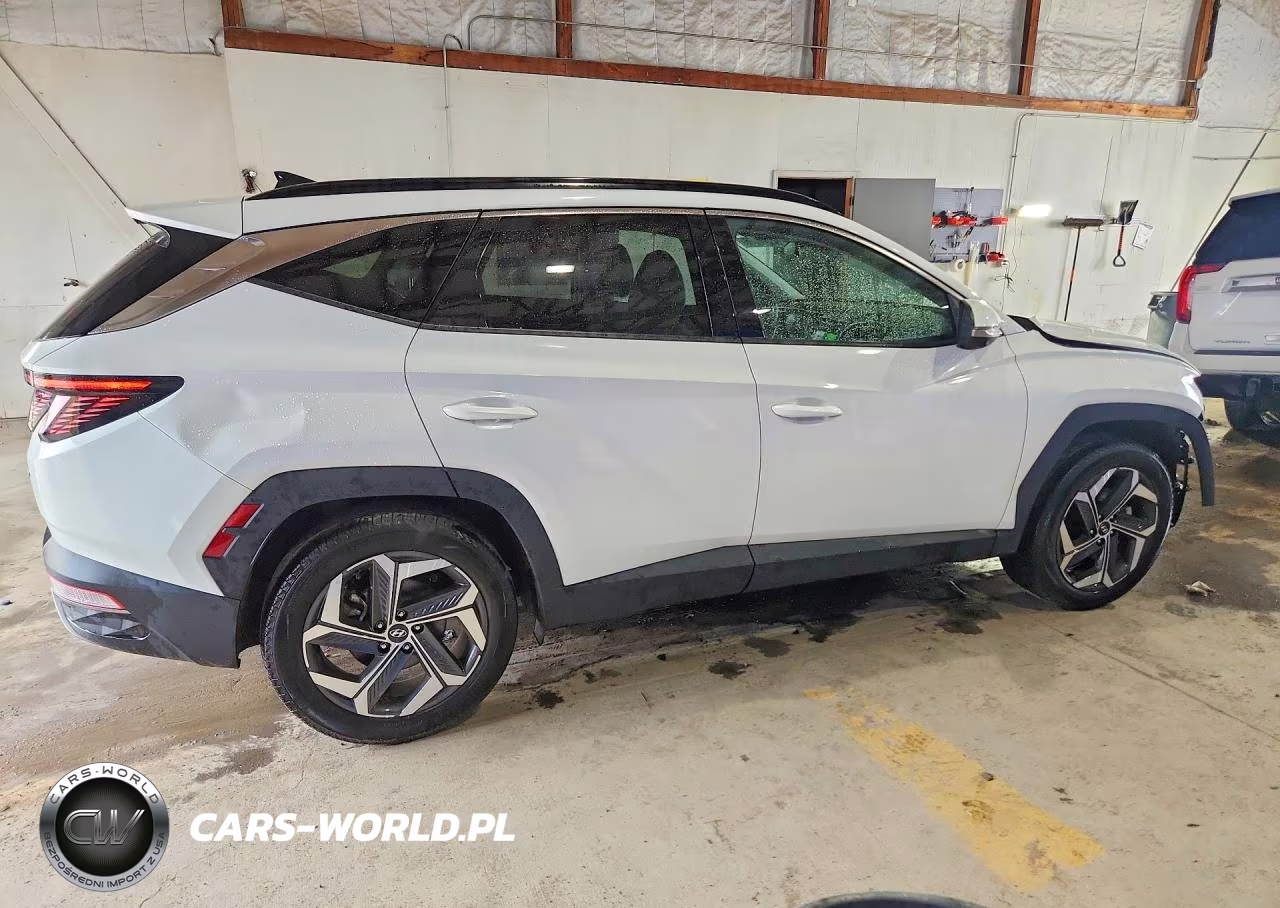 2022 Hyundai Tucson Limited VIN:5NMJECAE1NH110662 - 3