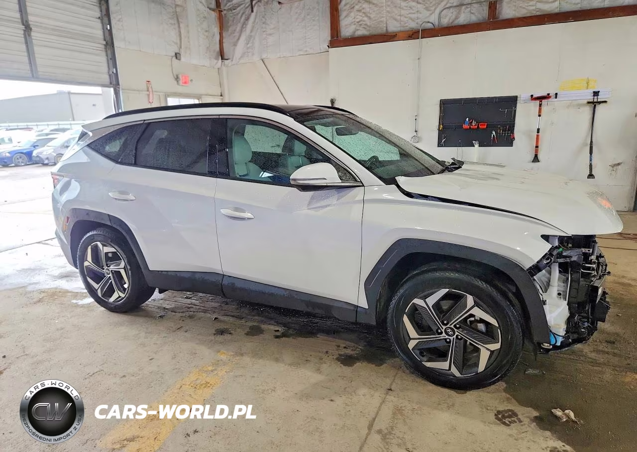 2022 Hyundai Tucson Limited VIN:5NMJECAE1NH110662 - 4