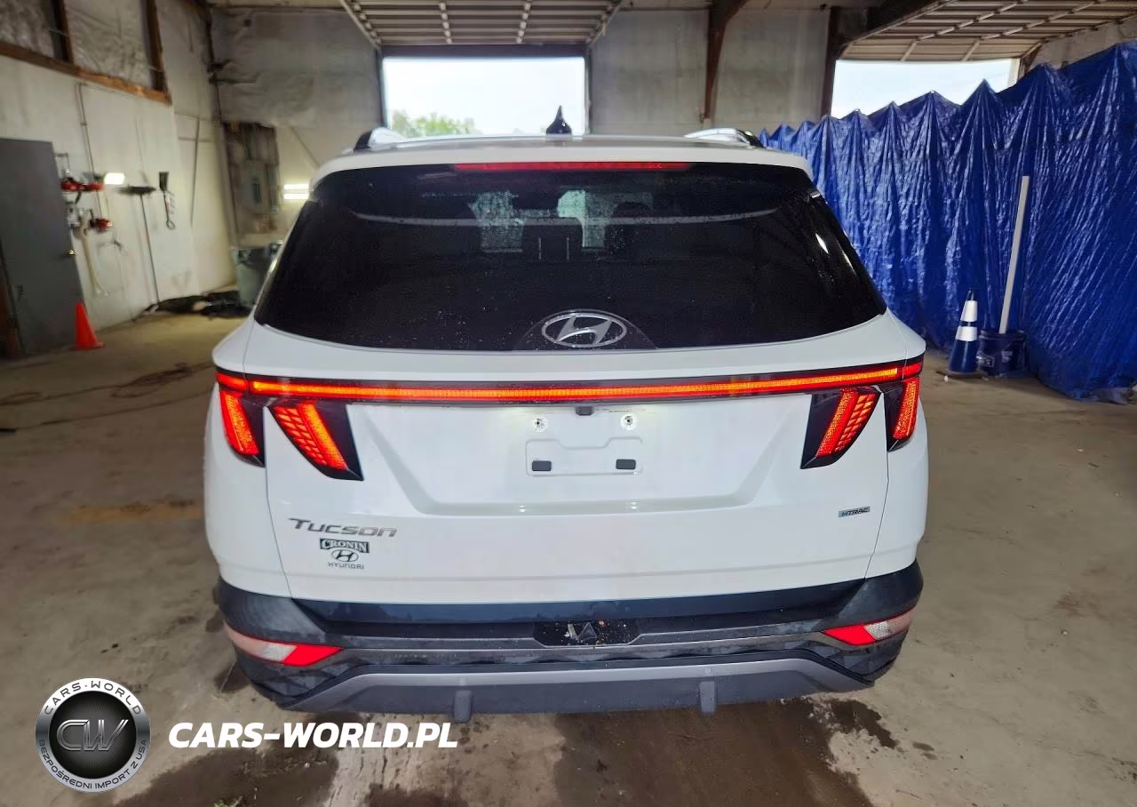 2022 Hyundai Tucson Limited VIN:5NMJECAE1NH110662 - 6