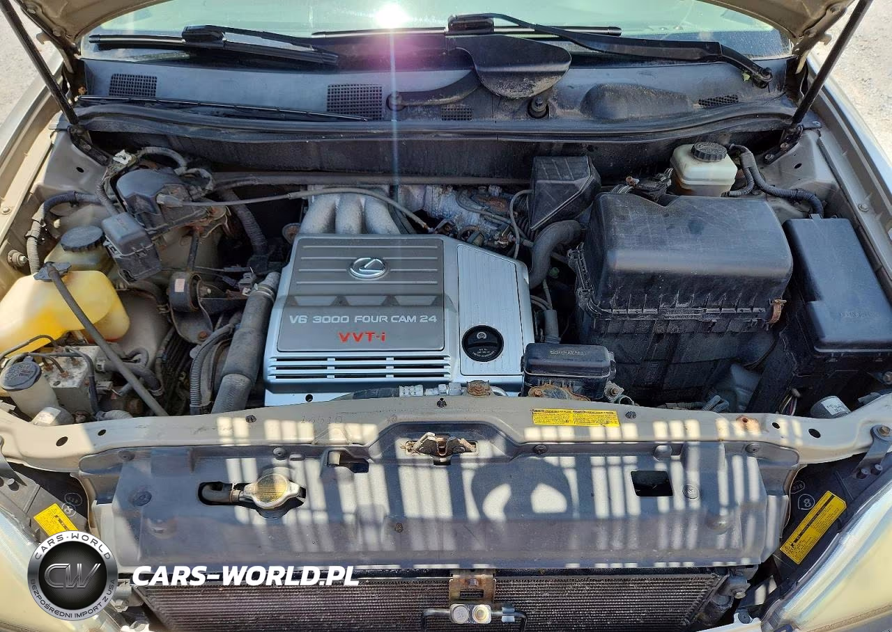 2003 Lexus Rx 300 VIN:JTJHF10U830314507 - 12