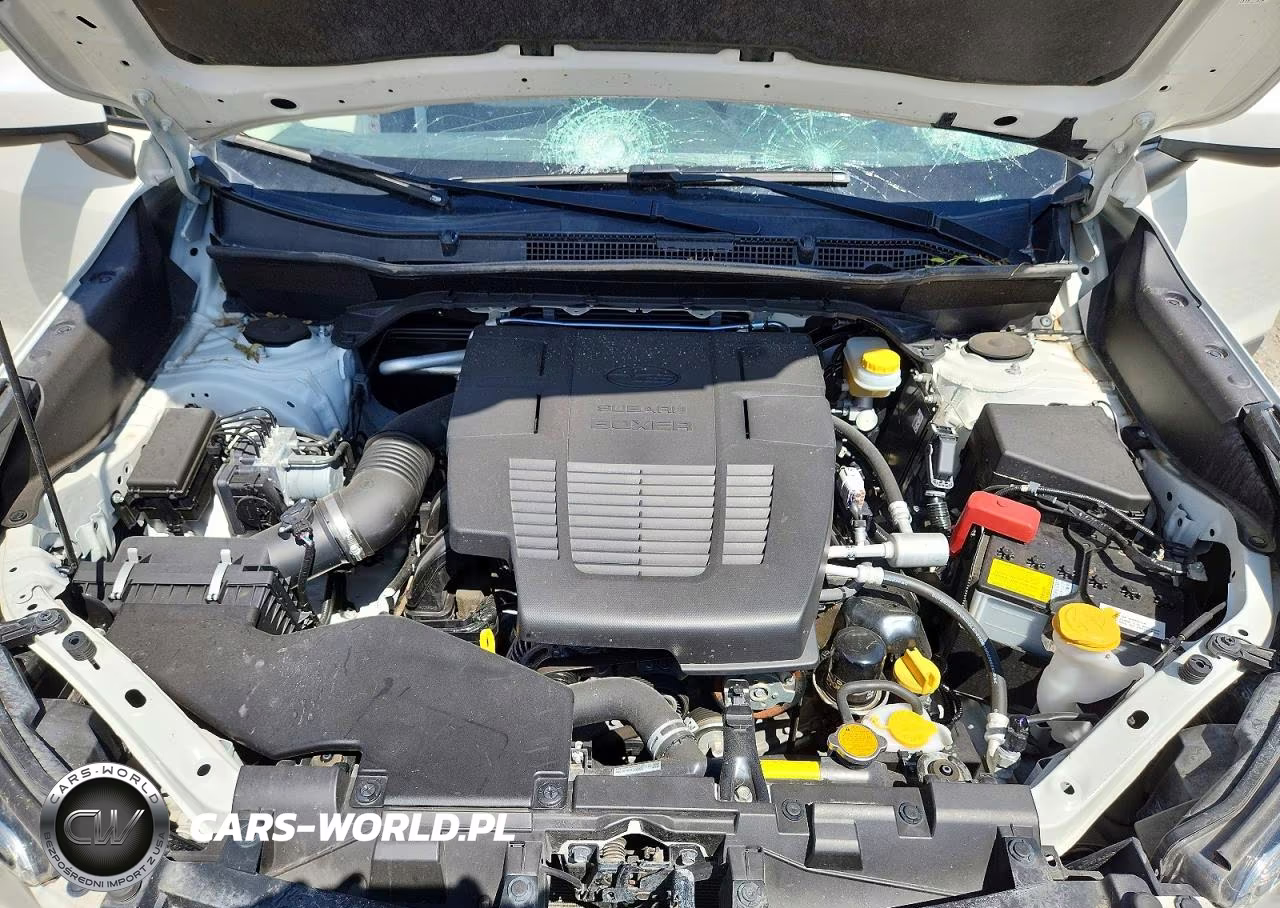 2019 Subaru Forester Premium VIN:JF2SKAEC9KH428036 - 12