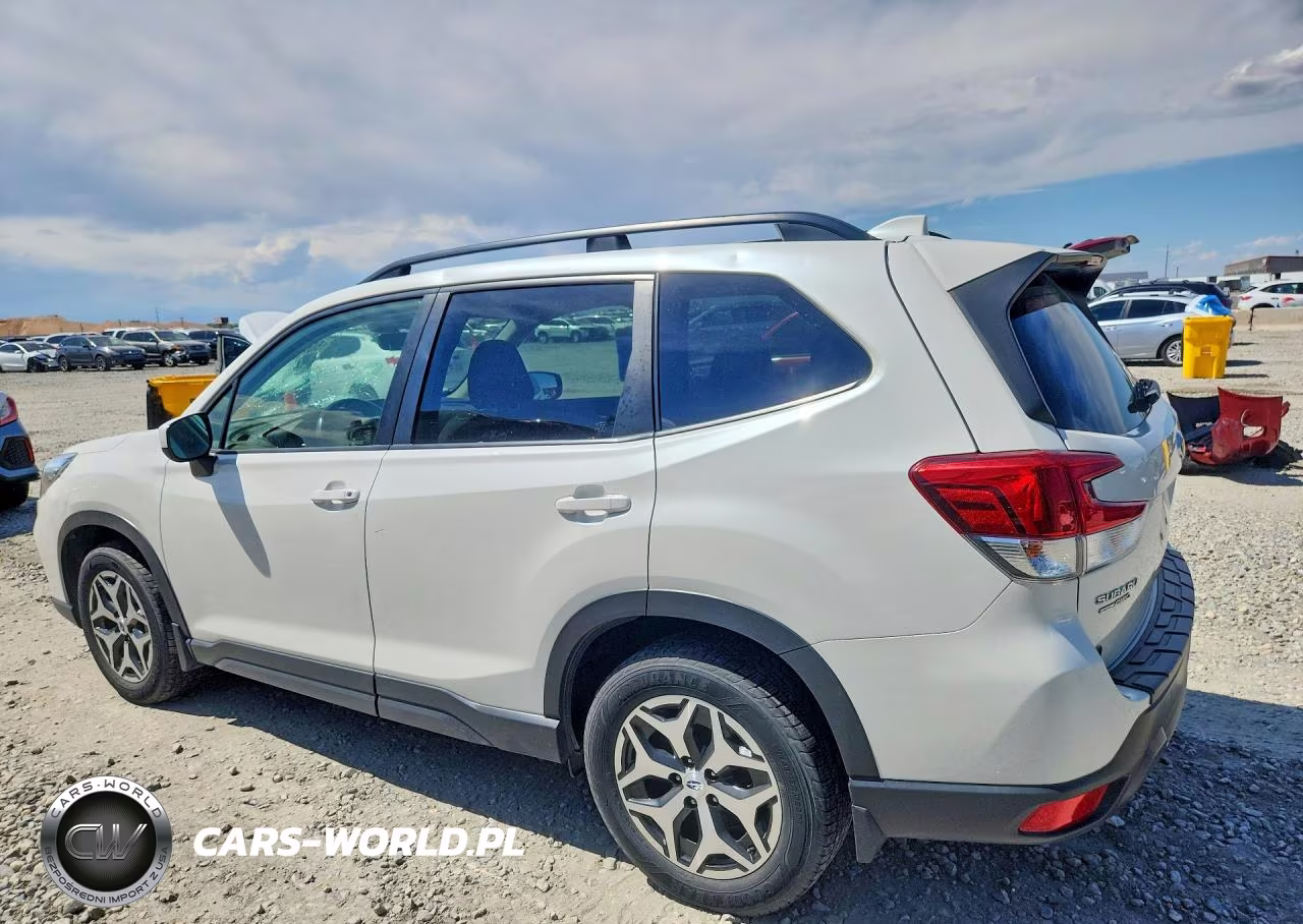 2019 Subaru Forester Premium VIN:JF2SKAEC9KH428036 - 2