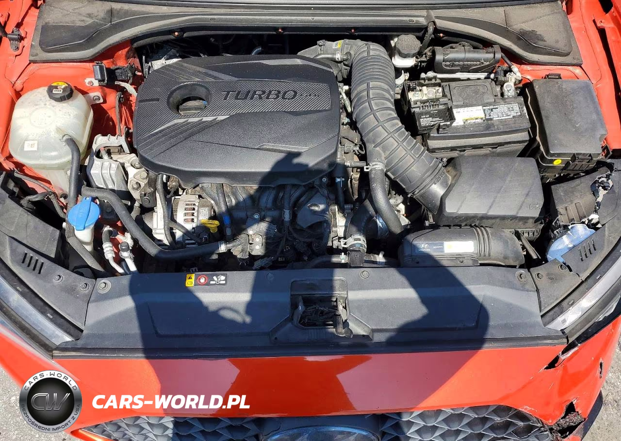 2019 Hyundai Veloster Turbo Ultimate VIN:KMHTH6AB5KU019322 - 11