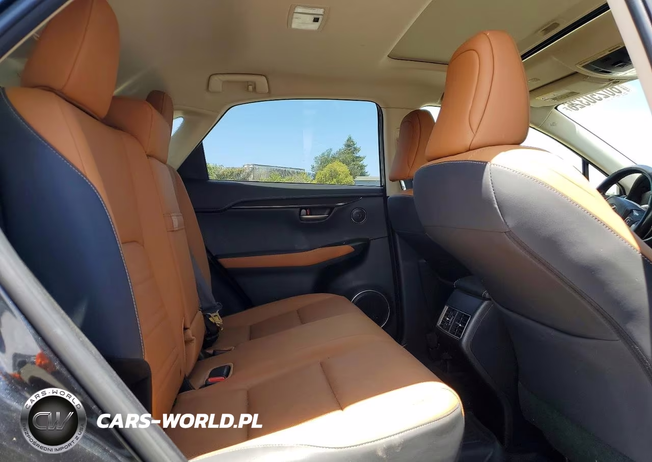 2021 Lexus Nx 300H Base VIN:JTJGJRDZ1M2169671 - 11