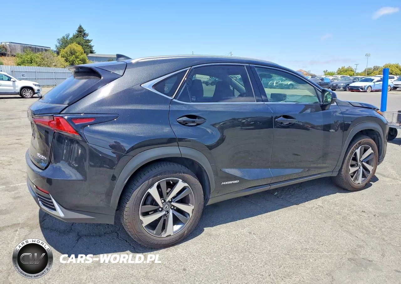 2021 Lexus Nx 300H Base VIN:JTJGJRDZ1M2169671 - 3