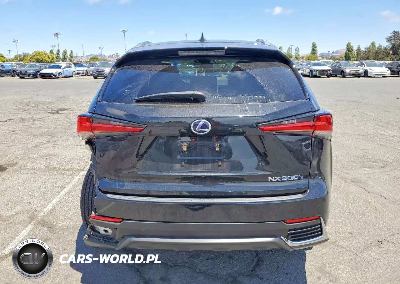 2021 Lexus Nx 300H Base VIN:JTJGJRDZ1M2169671 - 6