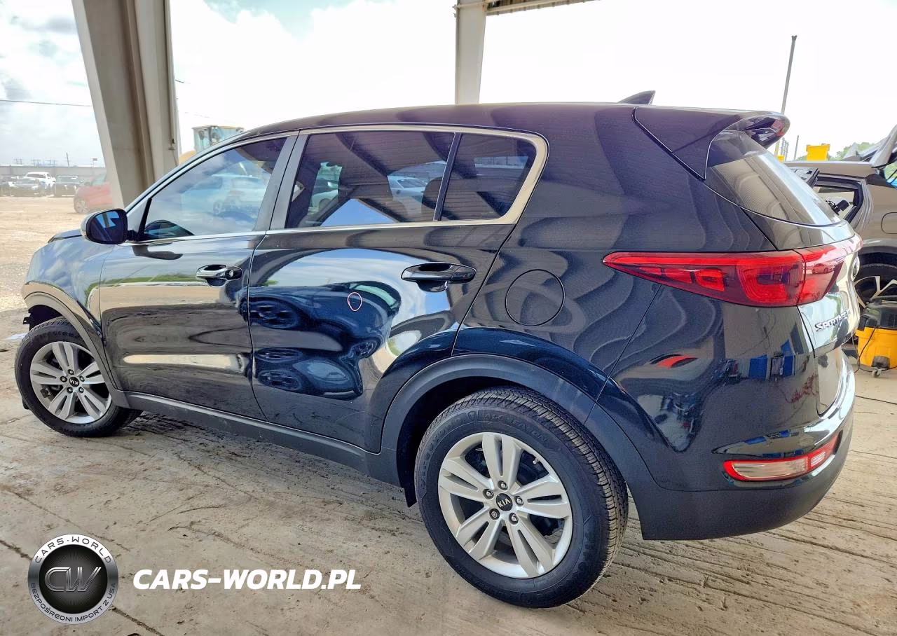 2017 Kia Sportage Lx VIN:KNDPM3AC9H7220401 - 2