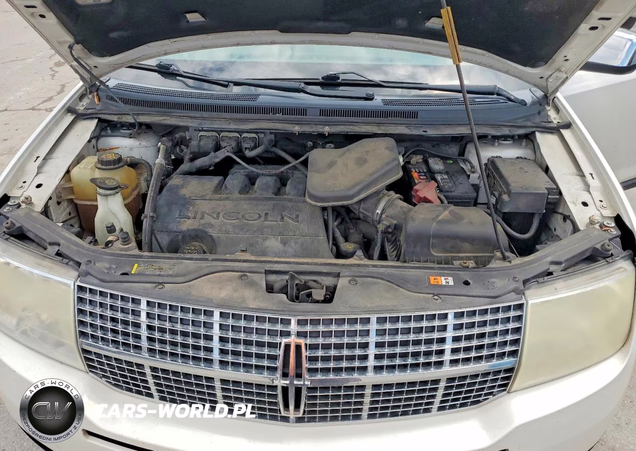 2009 Lincoln Mkx VIN:2LMDU68C29BJ09434 - 12