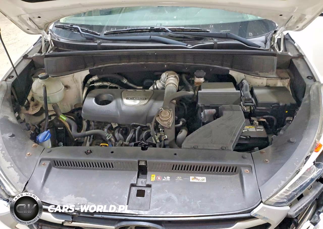 2018 Hyundai Tucson Value VIN:KM8J3CA22JU756495 - 12