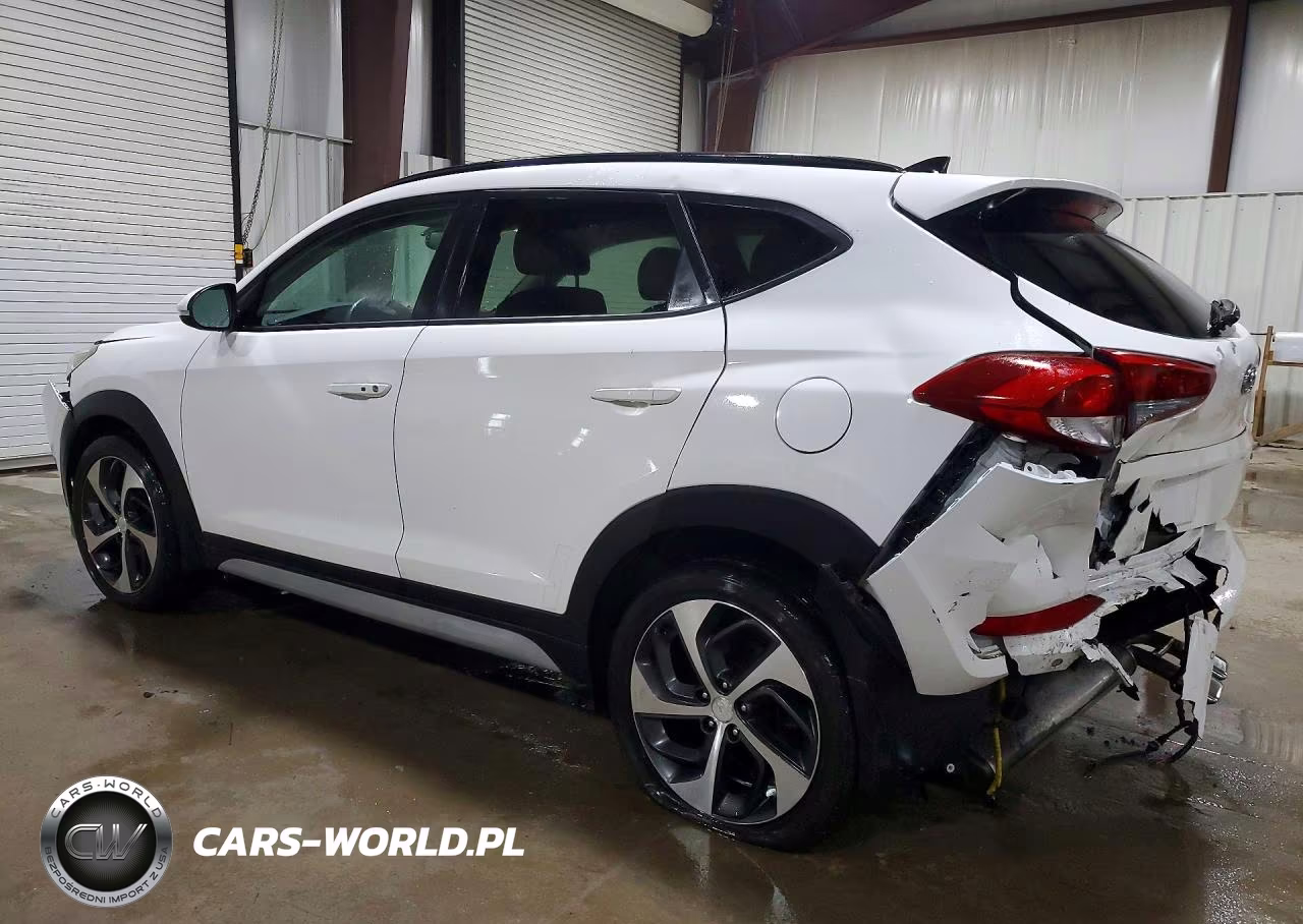 2018 Hyundai Tucson Value VIN:KM8J3CA22JU756495 - 2