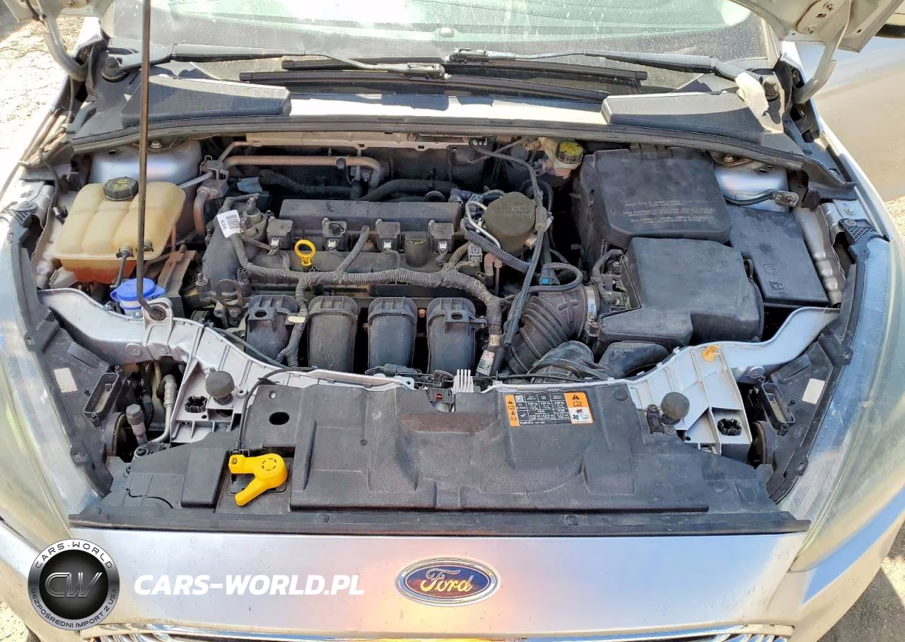 2016 Ford Focus Se VIN:1FADP3F27GL295197 - 11