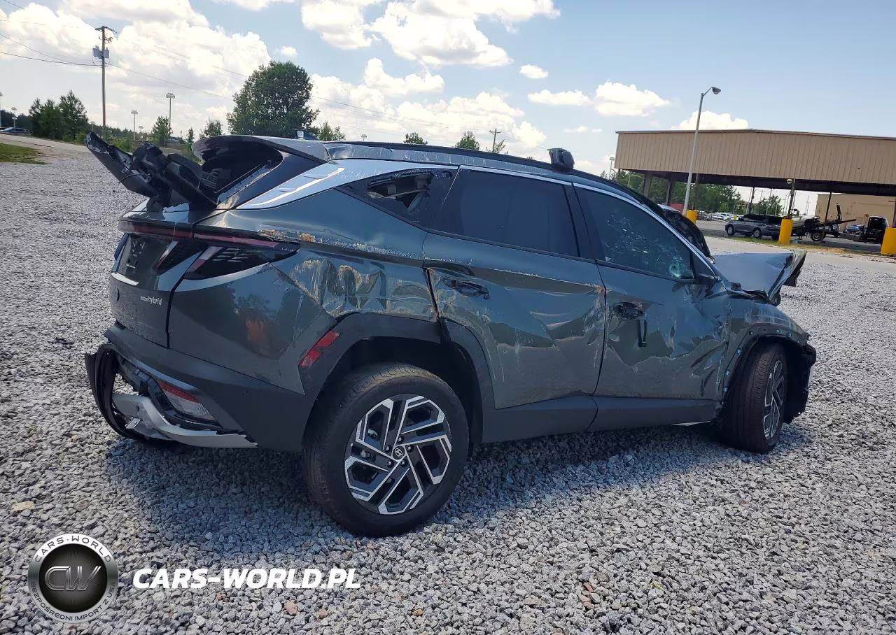 2025 Hyundai Tucson Limited VIN:KM8JEDD17SU395012 - 3