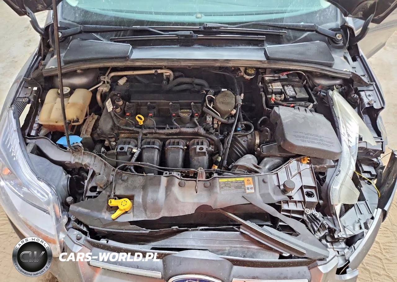 2013 Ford Focus S VIN:1FADP3E26DL317705 - 11