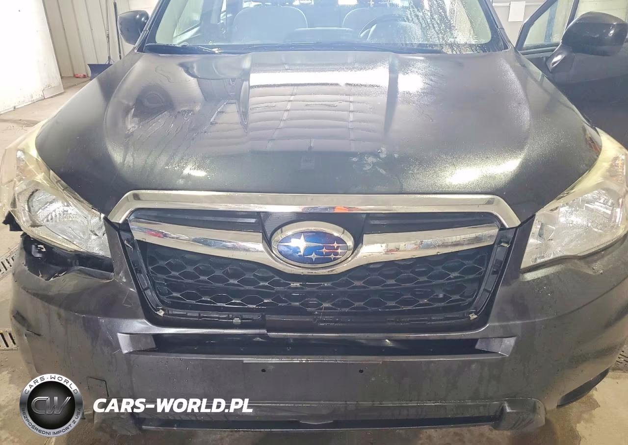 2016 Subaru Forester 2.5I VIN:JF2SJABC8GH504196 - 12