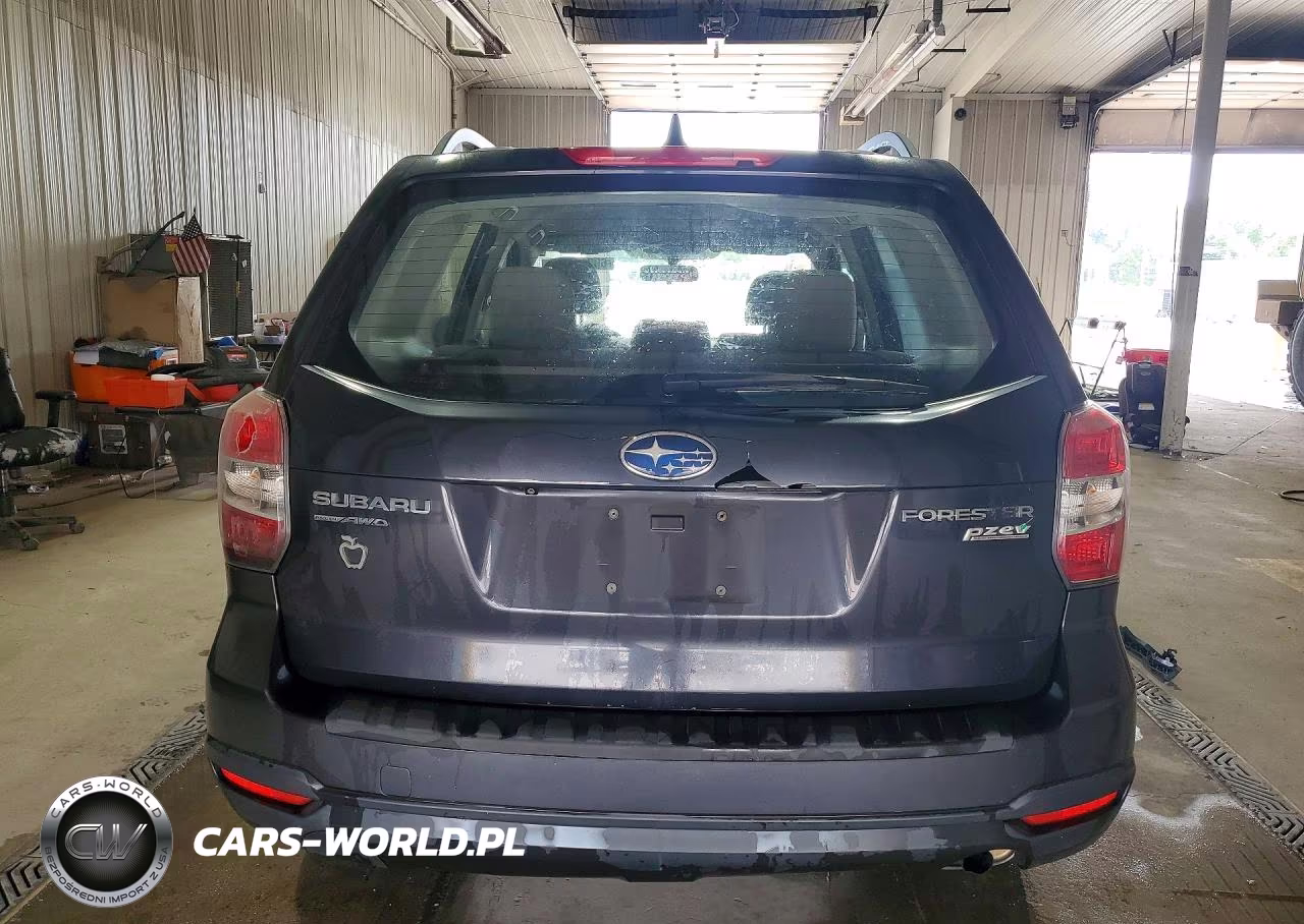 2016 Subaru Forester 2.5I VIN:JF2SJABC8GH504196 - 6