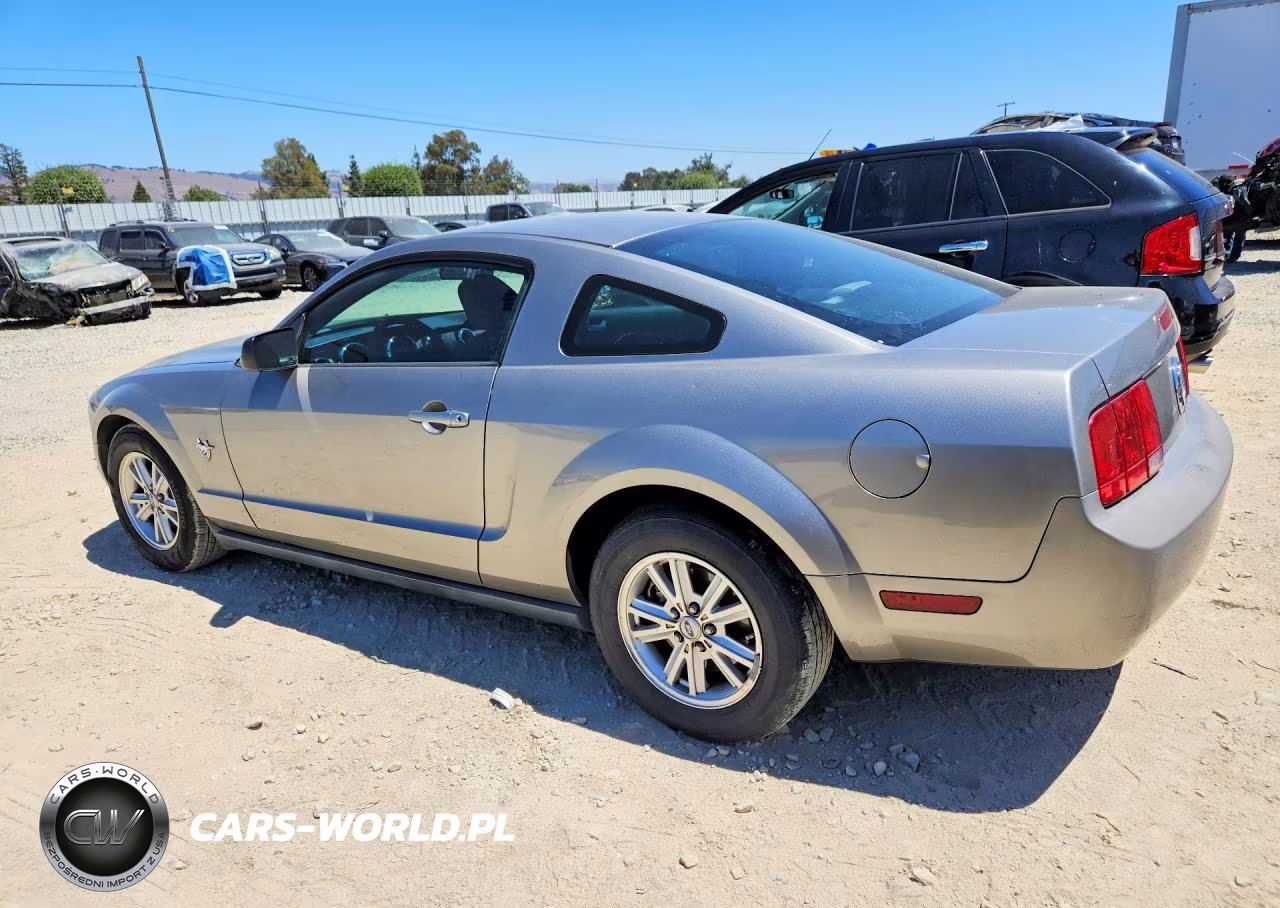 2009 Ford Mustang VIN:1ZVHT80NX95101497 - 2