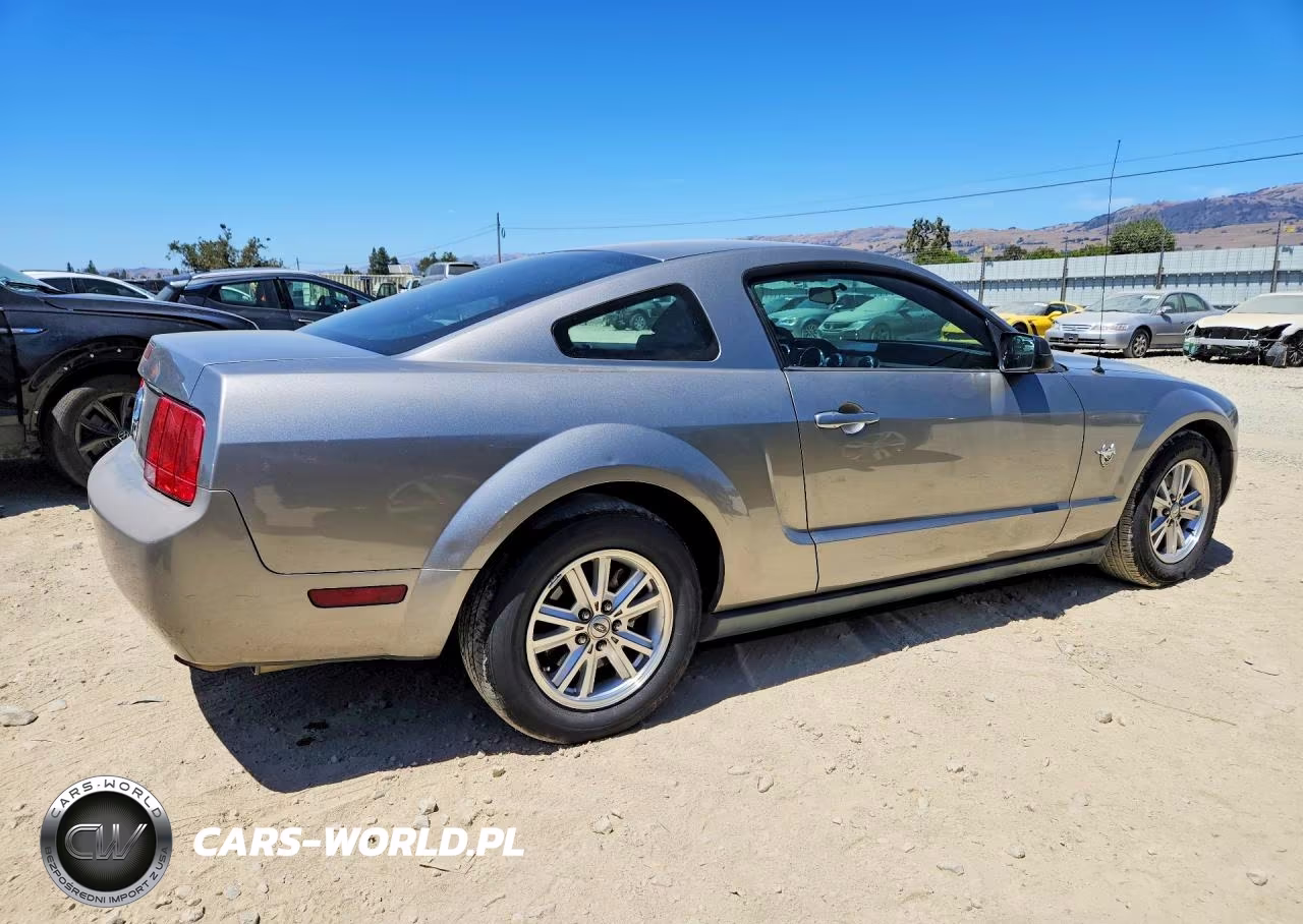 2009 Ford Mustang VIN:1ZVHT80NX95101497 - 3