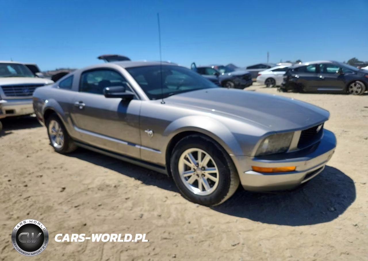 2009 Ford Mustang VIN:1ZVHT80NX95101497 - 4