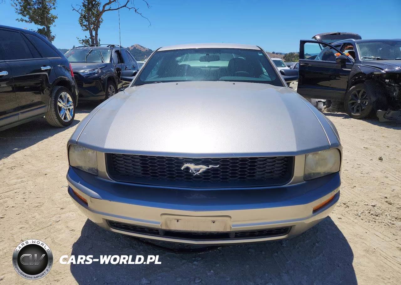 2009 Ford Mustang VIN:1ZVHT80NX95101497 - 5