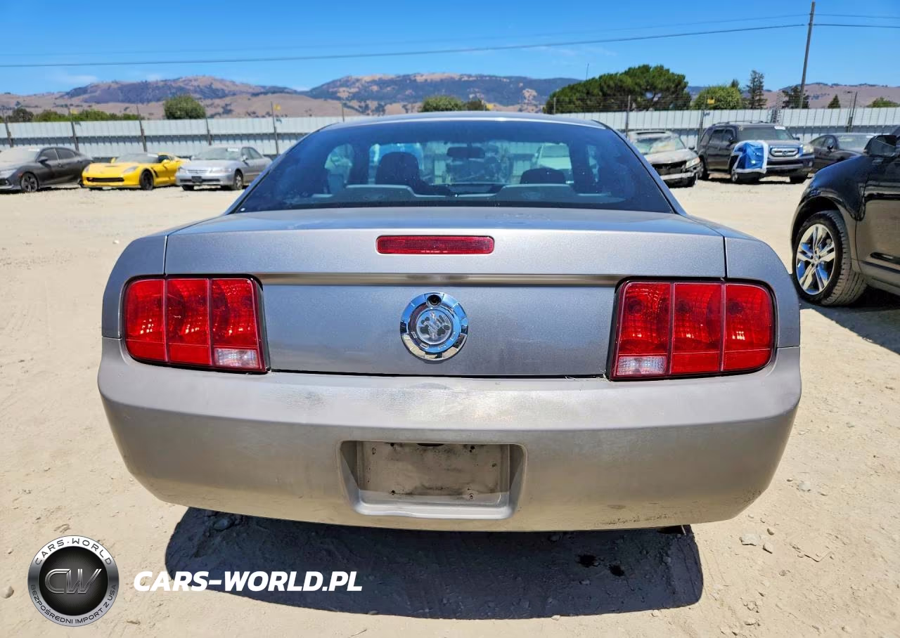 2009 Ford Mustang VIN:1ZVHT80NX95101497 - 6